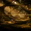 SEED OF THE DEEP