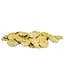coinscavenger