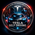TESLA SELF DRIVING