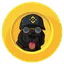 binancedog
