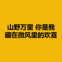 山野万里 你是我藏在微风里的欢喜