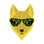 DINGO