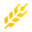 WHEAT