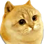 CATGE