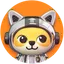 XDOGE / BUSD