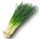 韭菜
