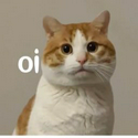 OI
