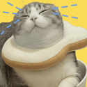 流行猫 / WBNB