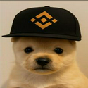 PUP / WBNB