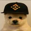 PUP