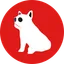 DogeDF