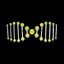 XDNA
