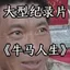 牛马人生