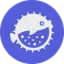 PUFFER / WBNB