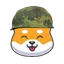 SHIBARMY