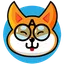 API