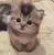 CATME
