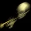 DOOT