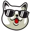 CATNIP