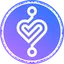 VSC
