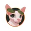 BINGUS