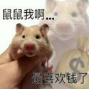 鼠鼠我啊