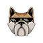GDOGE
