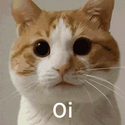 OI