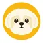 Shih