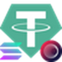 USDT / USDT