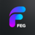 FEG