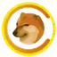 CHEEMS