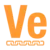 VERI