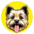 TOTO