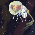 FLY