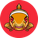 NEMO