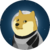DOGE1