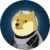 DOGE1