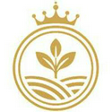 RAI / USDT