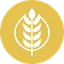 GRAIN