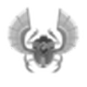 SCARAB
