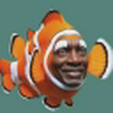NIGGO