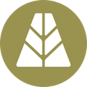 AUSD