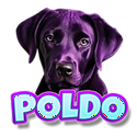 POLDO