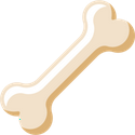 BONE