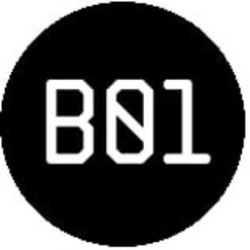 b01