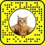 snapcat