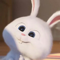 SNOWBALL