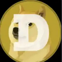 DOGE / SPCX