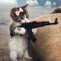 akcat